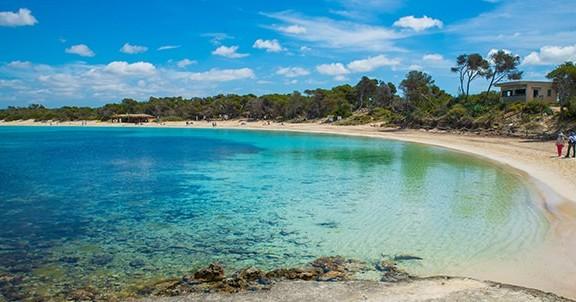 Kupači oprez: Turistu ujela ajkula na popularnoj evropskoj plaži