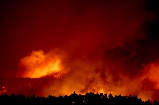 Požari u Portugalu odsijecaju ceste, hiljade ljudi bježi, šume opustošene