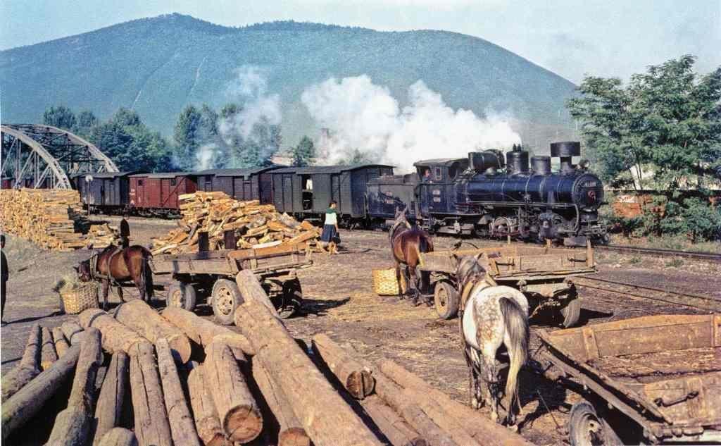 Kako su se građani pripremali za zimu: Drva za ogrjev spuštala su se niz brzake Miljacke