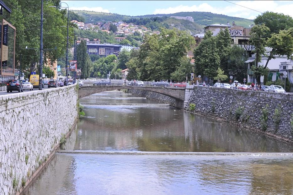 Žalbe na tenderima ove godine blokirale deratizacije: Strah zbog zmija i glodara