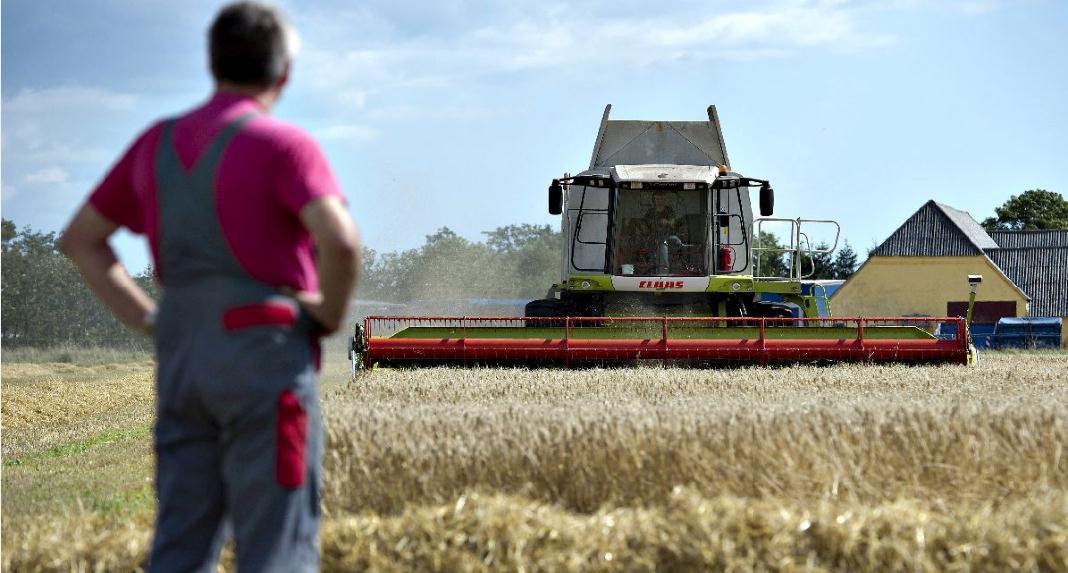 Pred Parlamentom uskoro Strategija ruralnog razvoja: Vlasti se nadaju milionima, poljoprivrednici bilo čemu