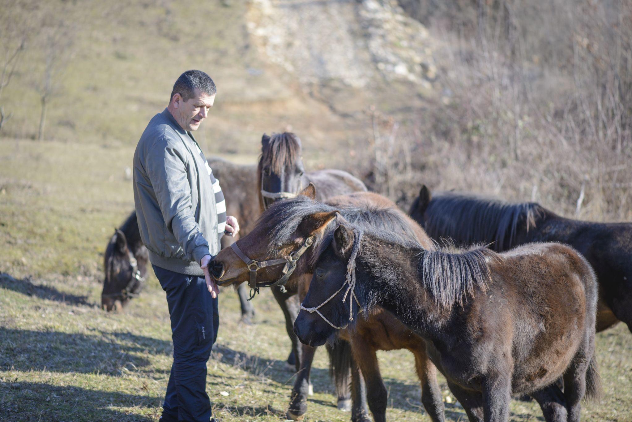 Dnevni avaz