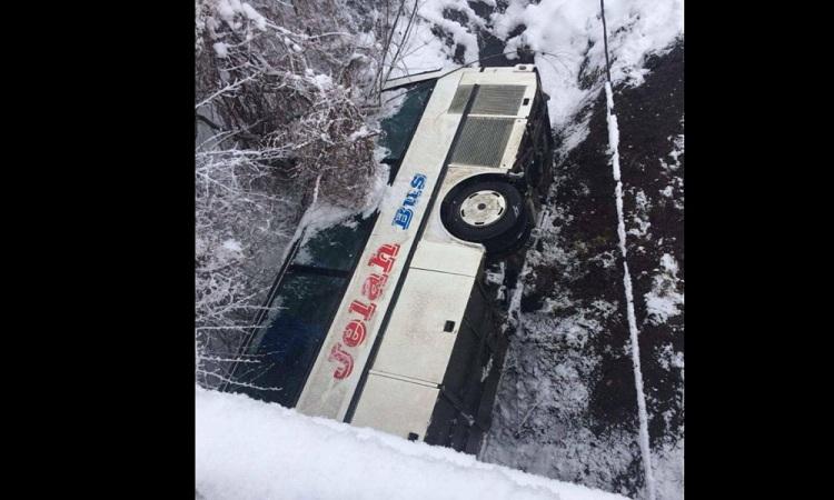 Autobus kompanije "Jelah bus" sletio u provaliju, vozač se uspio spasiti