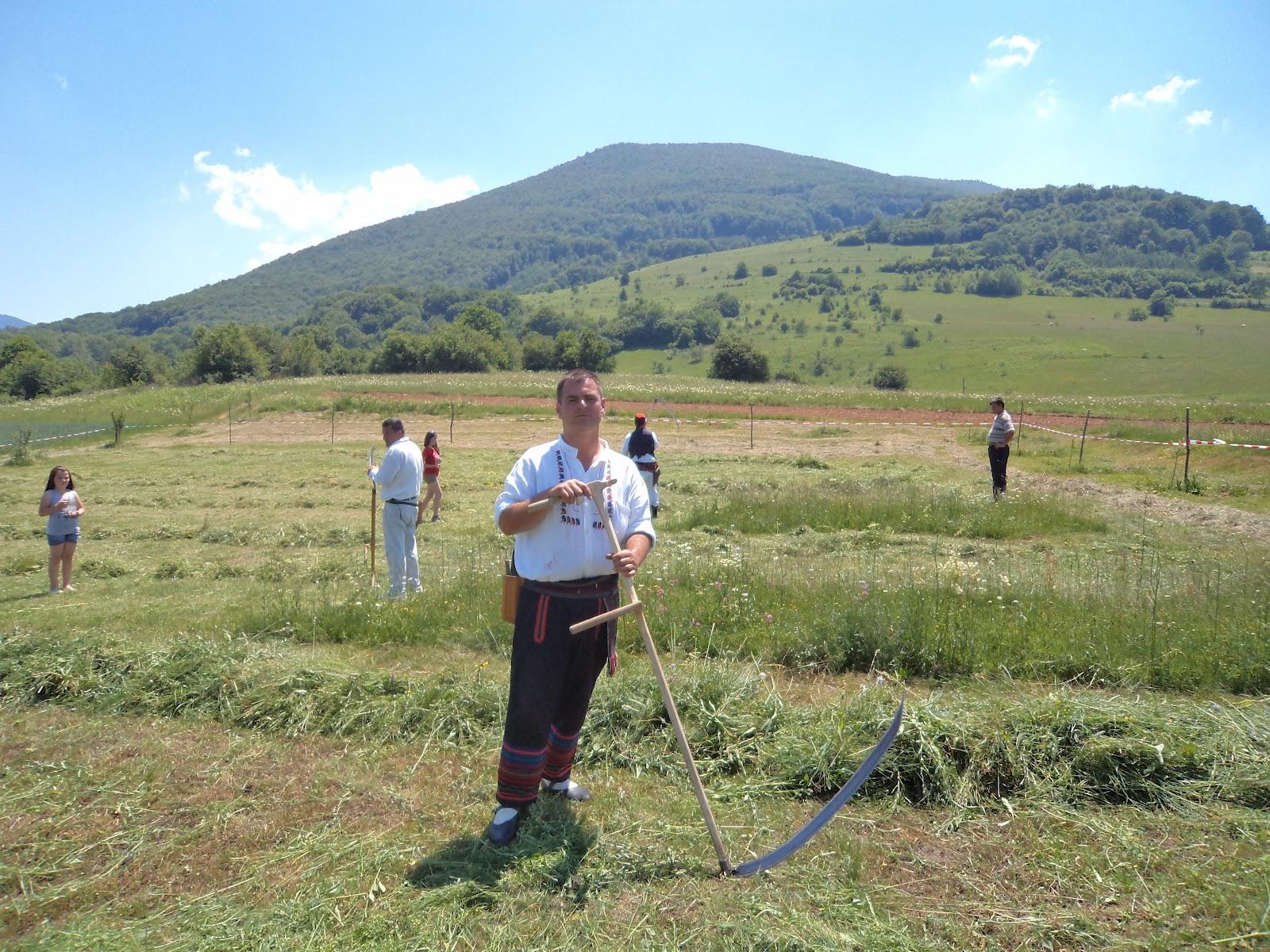 Trkulja: Ovogodišnji pobjednik - Avaz