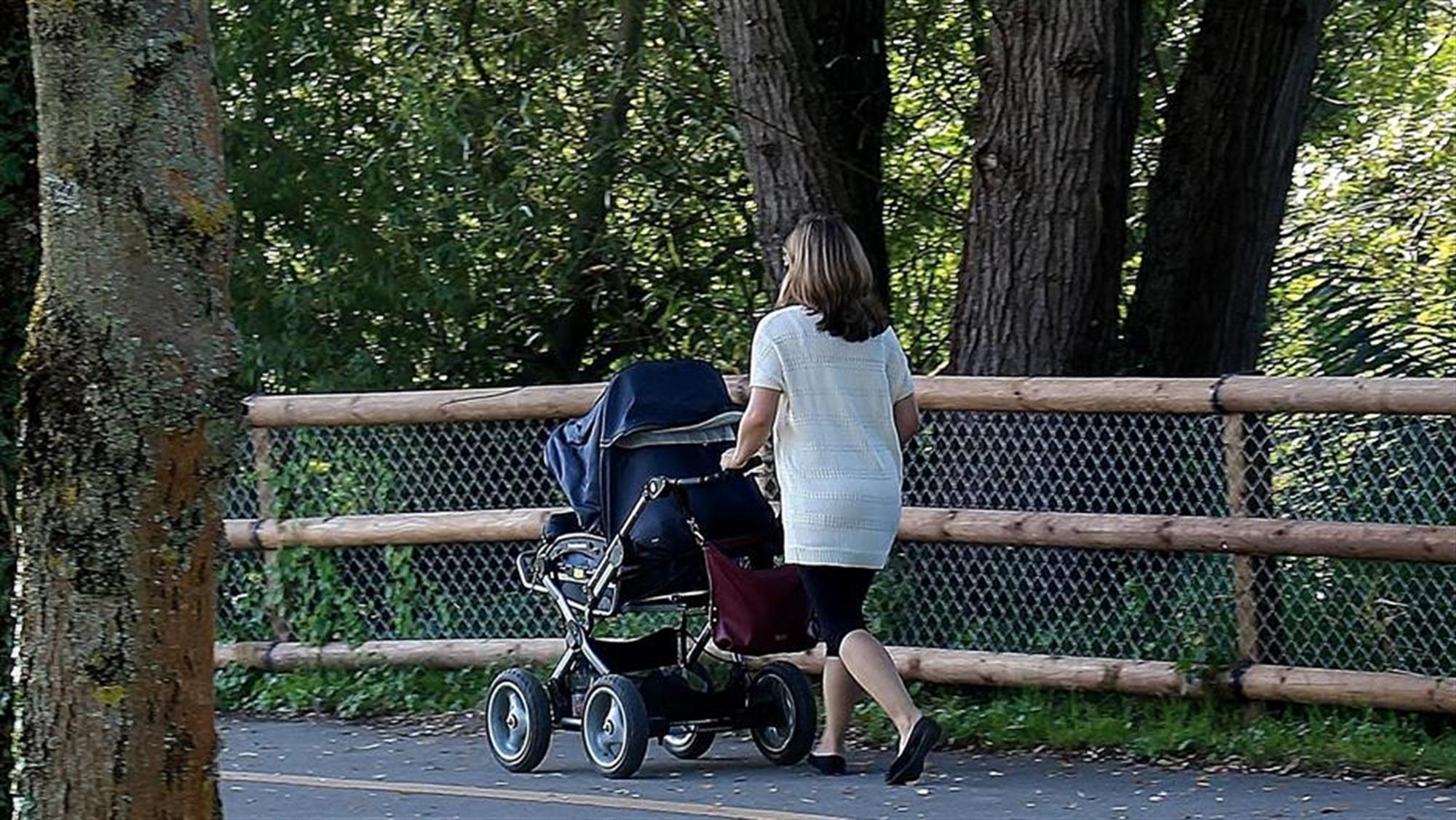 Ljubijankić: Bradara se igra majkama i porodiljama