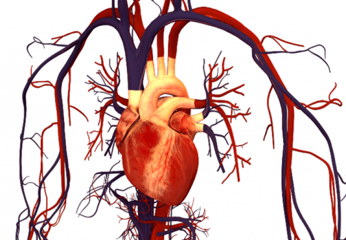 Upalne promjene u arterijama - Avaz