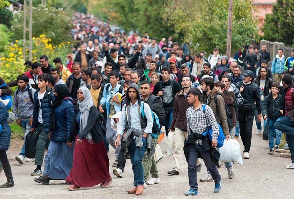 Namjeru da zatraži azil iskazalo 22.398 osoba - Avaz