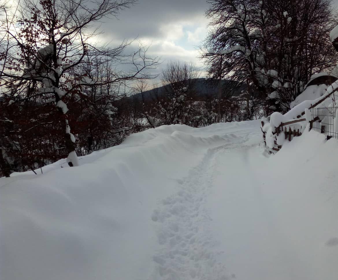 Putevi zameteni, stanovnici se pate bez - Avaz