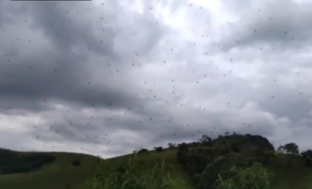 Brazil: Pauci padaju s neba