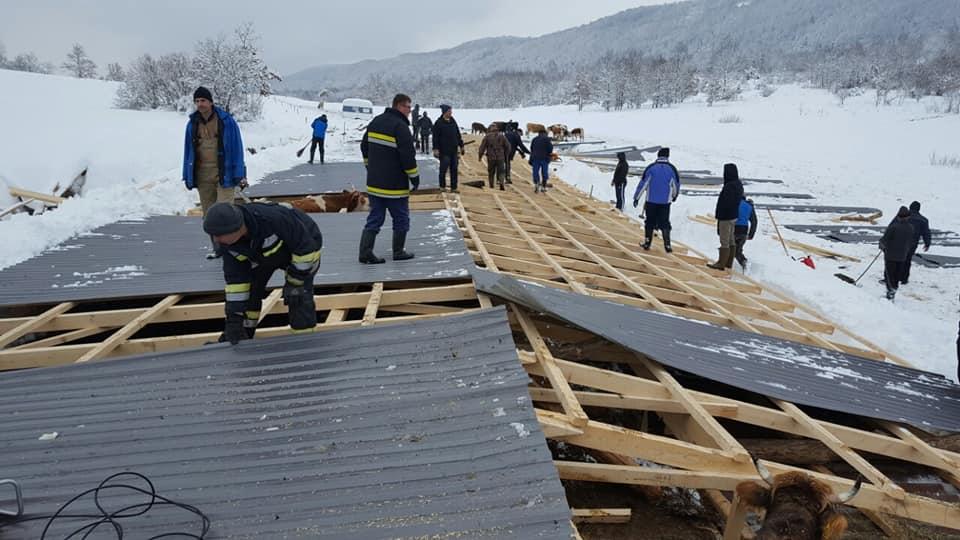 Urušio se krov štale, sedam krava stradalo