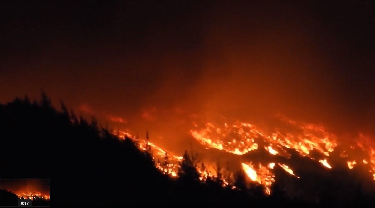 Požar u Nelsonu - Avaz