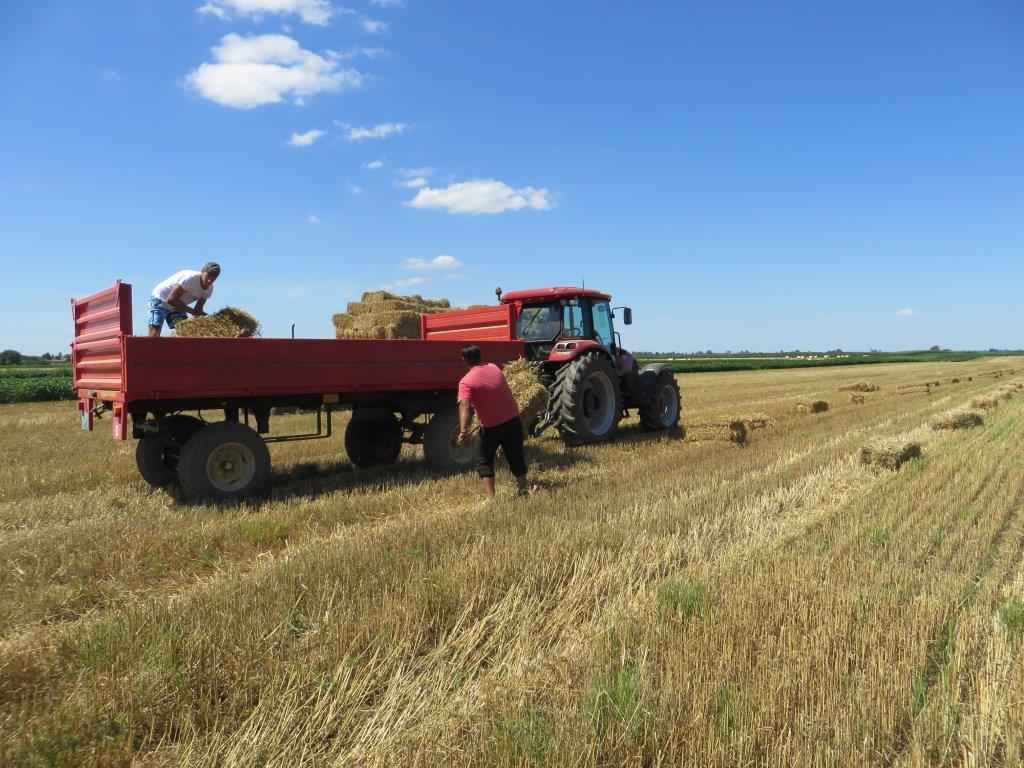 Nema ozbiljne analize stanja agrara - Avaz