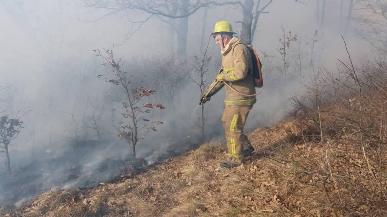 Vatrogasci na terenu - Avaz