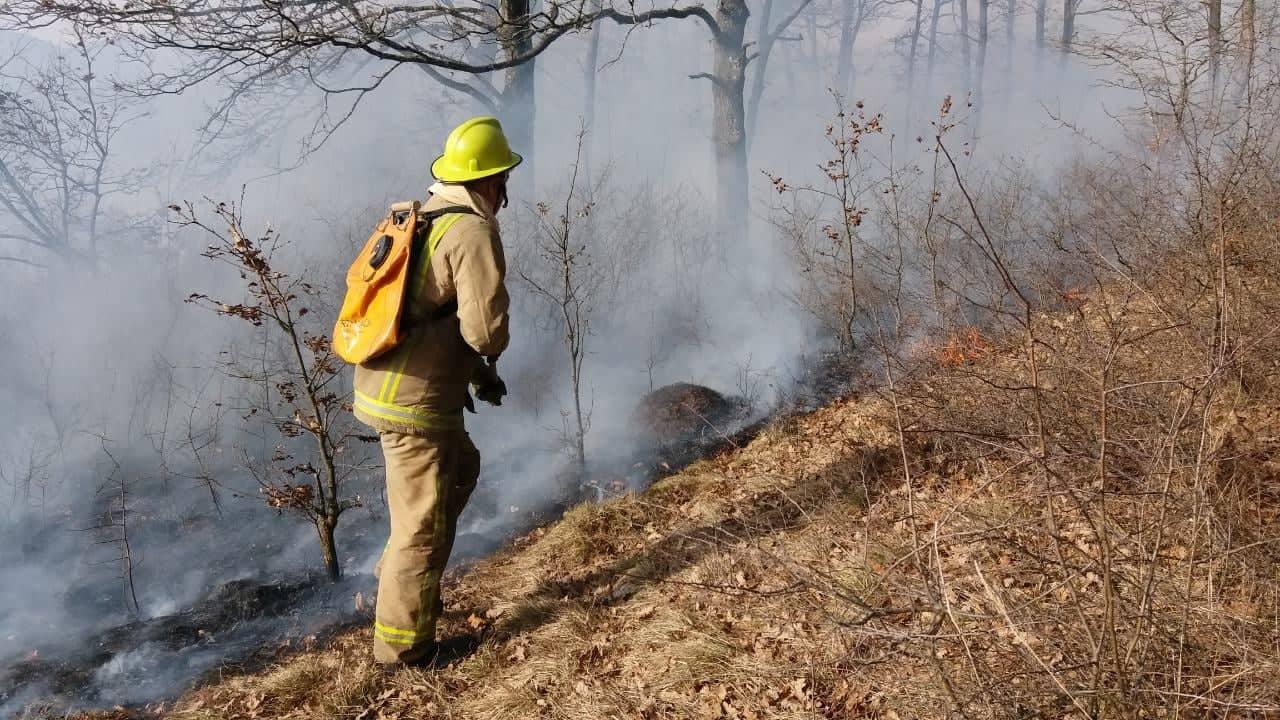 Vatrogasci na terenu - Avaz