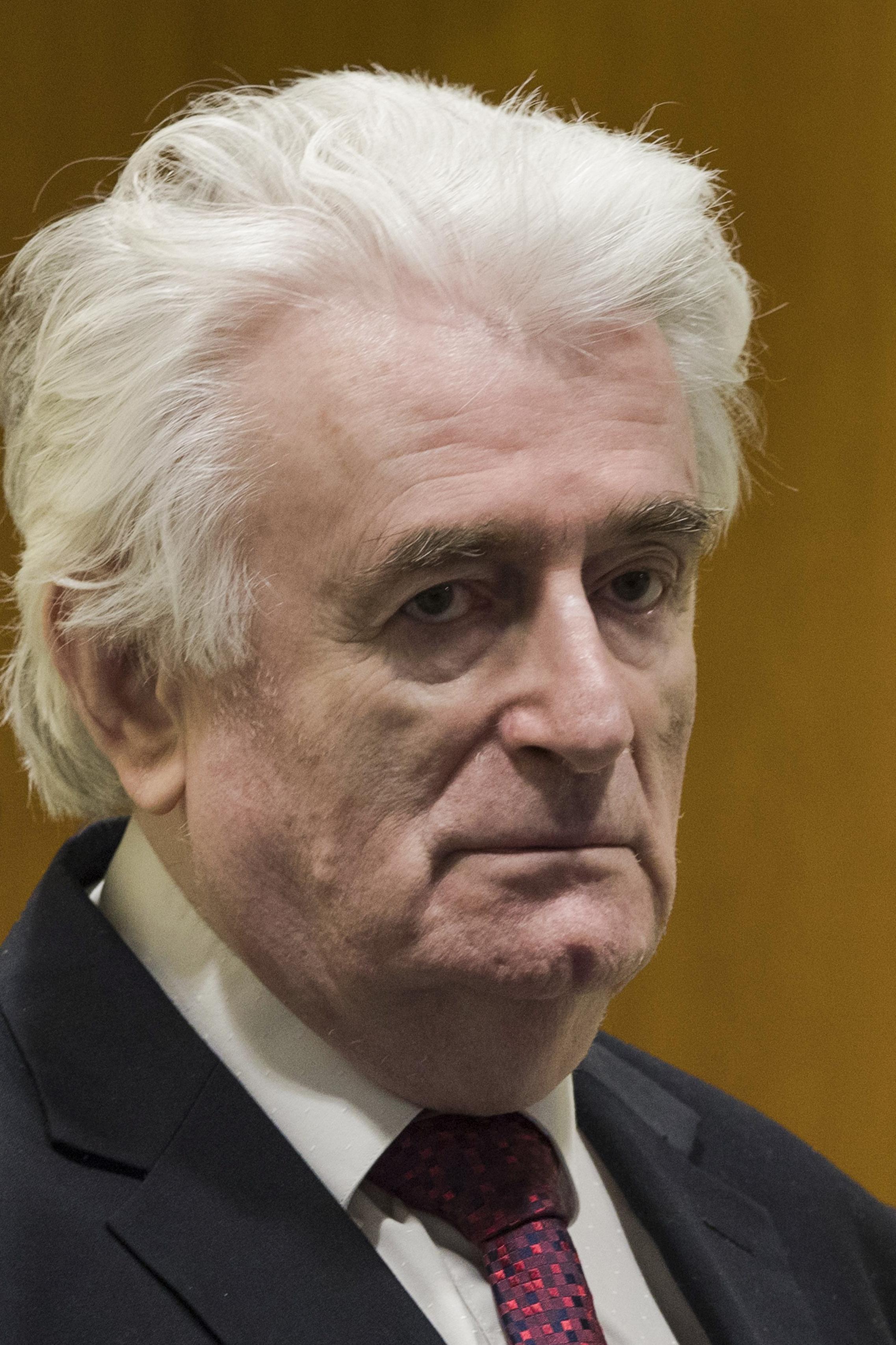 Karadžić: Osuđen na doživotnu kaznu - Avaz