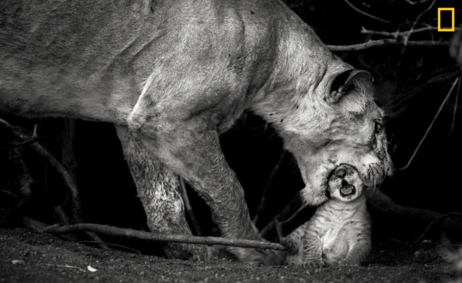 Udahnite duboko: National Geographic objavio zapanjujuće fotografije nezaboravnih prizora