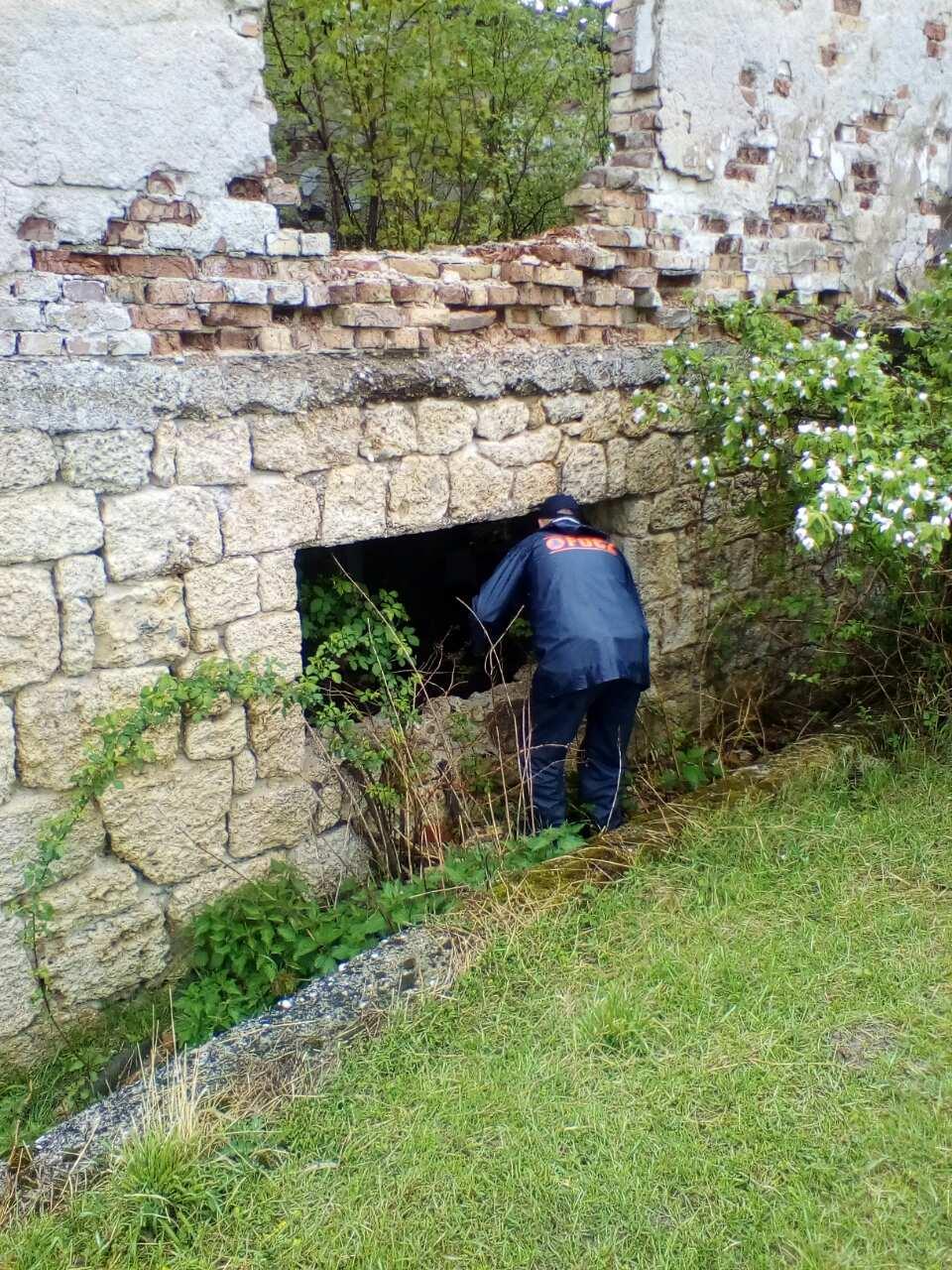 Na terenu 80 ljudi traga za nestalom Ružicom Bičvić - Avaz