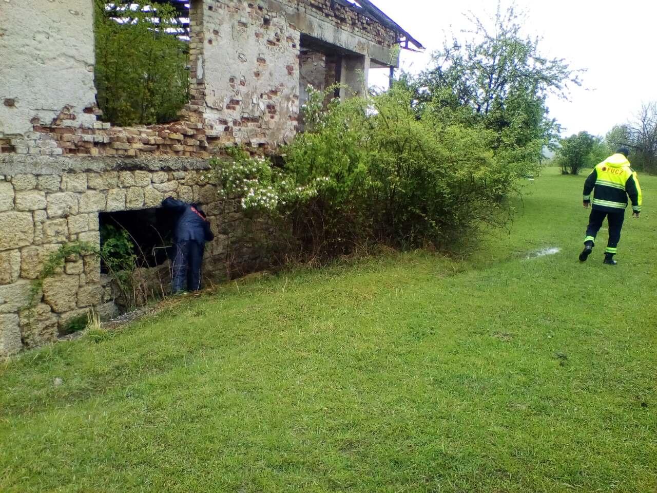 Na terenu 80 ljudi traga za nestalom Ružicom Bičvić - Avaz