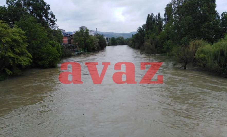 Dnevni avaz