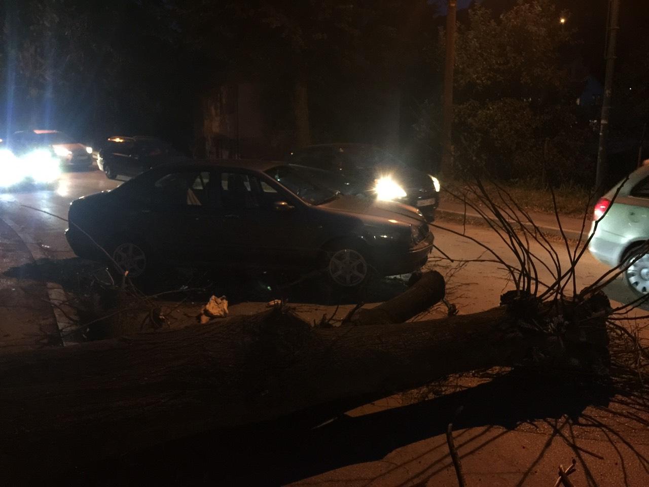 Oštećeno drvo palo na automobil - Avaz