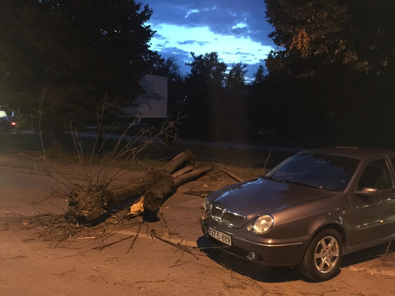 Automobil oštećen nakon pada stabla