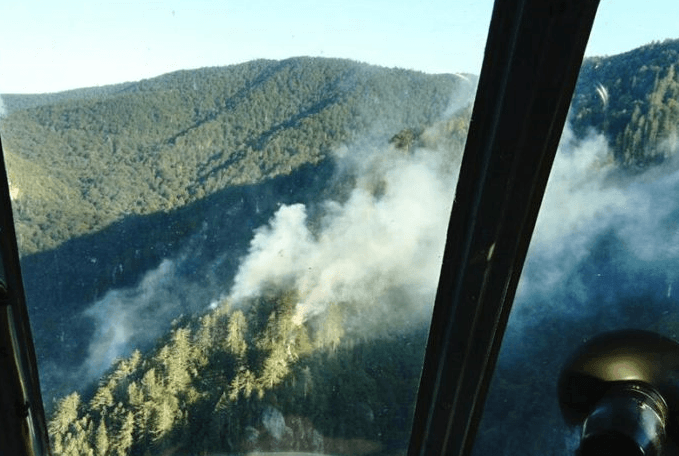 Učestvuje helikopter - Avaz