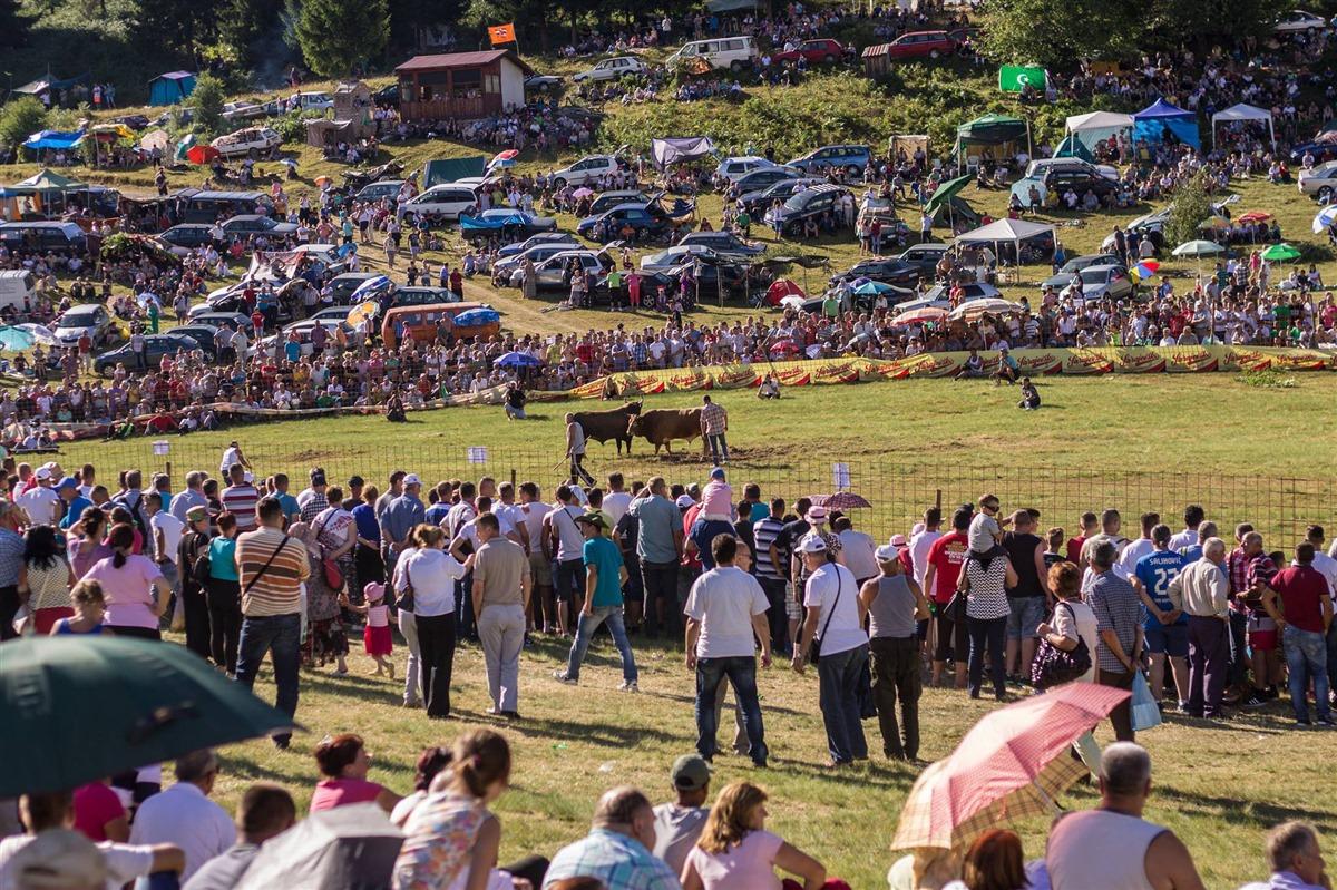 Korida prošle godine - Avaz