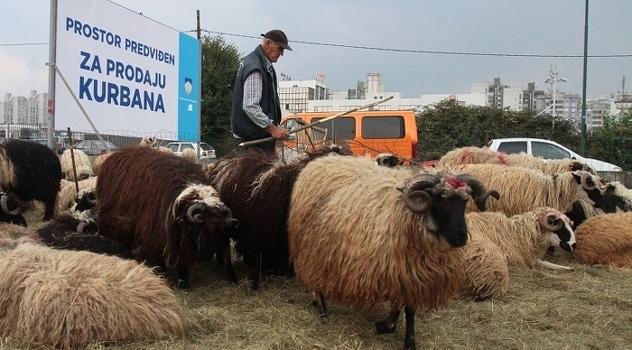 U do sada izvršena 142 nadzora kontrolirano 85 farmi - Avaz