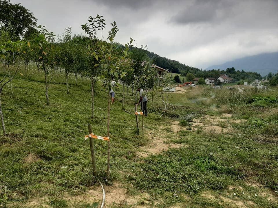 Migranti u Ključu kose travu, nose sijeno - Avaz