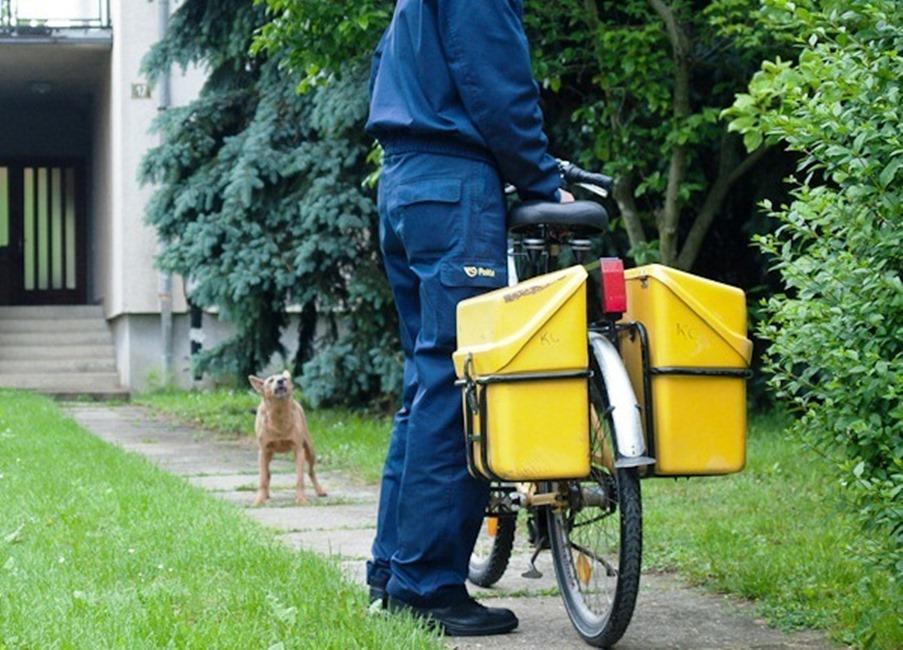 Slučaj kod Jagodine: Pas napao poštara, gazda zatvorio veterinarsku inspektoricu