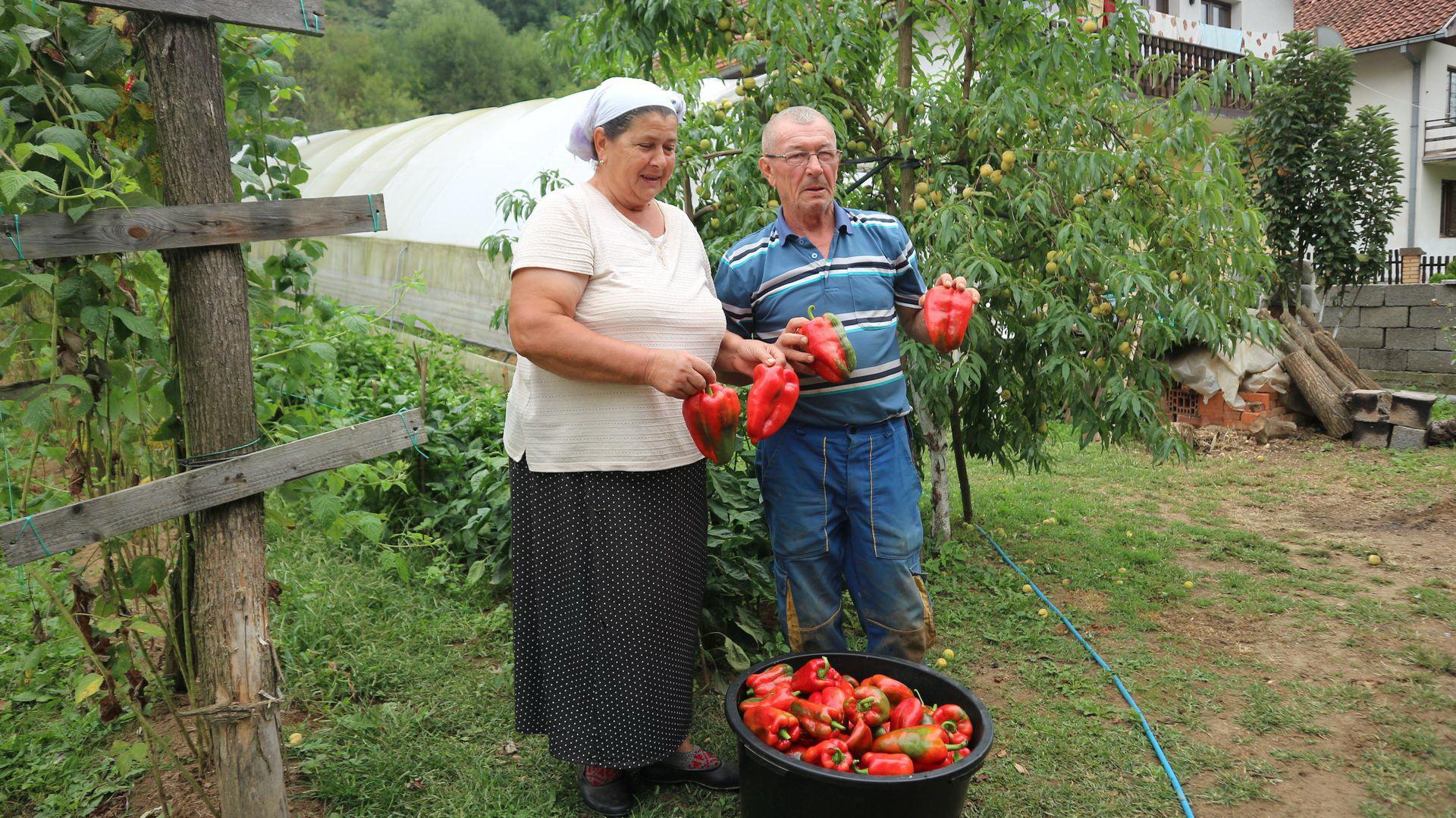 Sve što proizvedu, to i prodaju