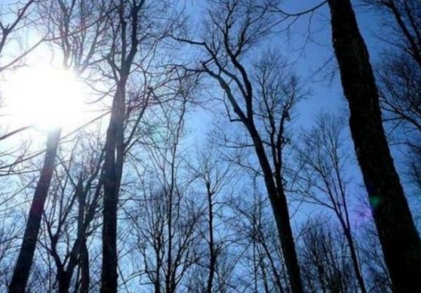 Danas sunčano, za naredne dane spremite jakne i dukserice