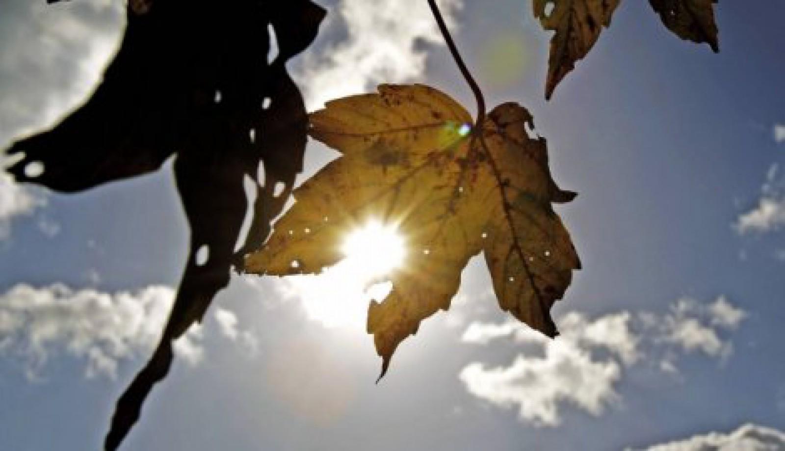 Oktobar okupan suncem: Za vikend ugodnih 25 stepeni, poznate vremenske prilike i za naredne dane