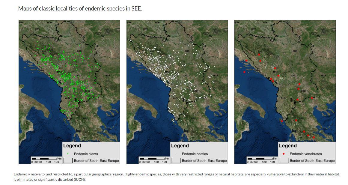 Trenutno je razvijen modul Lista odabranih endemskih kopnenih biljnih i životinjskih taksona u jugoistočnoj Evropi - Avaz