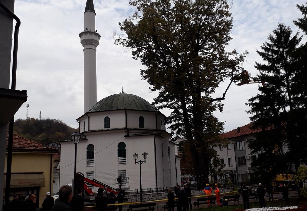 Zbog lipe stare 200 godina blokiran centar Gračanice