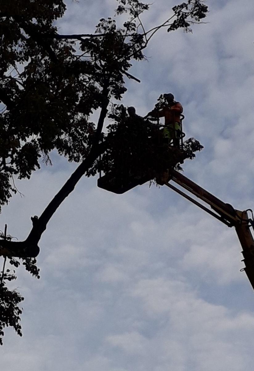 Uklanjanje će sutra biti završeno - Avaz