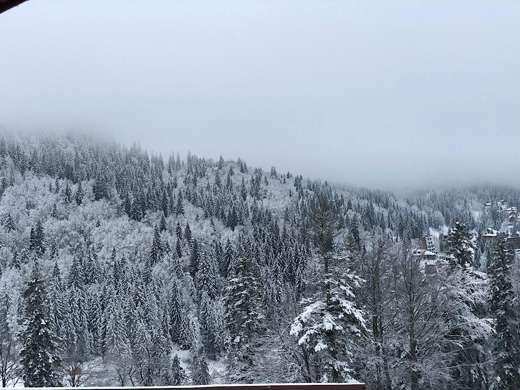 Jahorina se probudila u novom ruhu