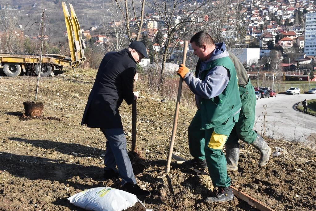 Pored stadiona "Asim Ferhatović Hase" zasađena 32 stabla