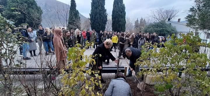 Neobično stablo za Lanu Bijedić