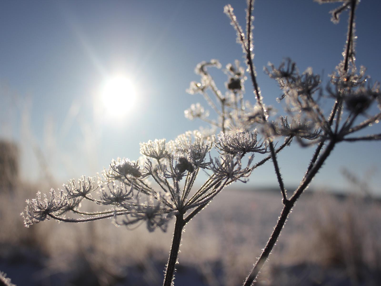 Sunčano do kraja sedmice: Temperature i do 15 stepeni