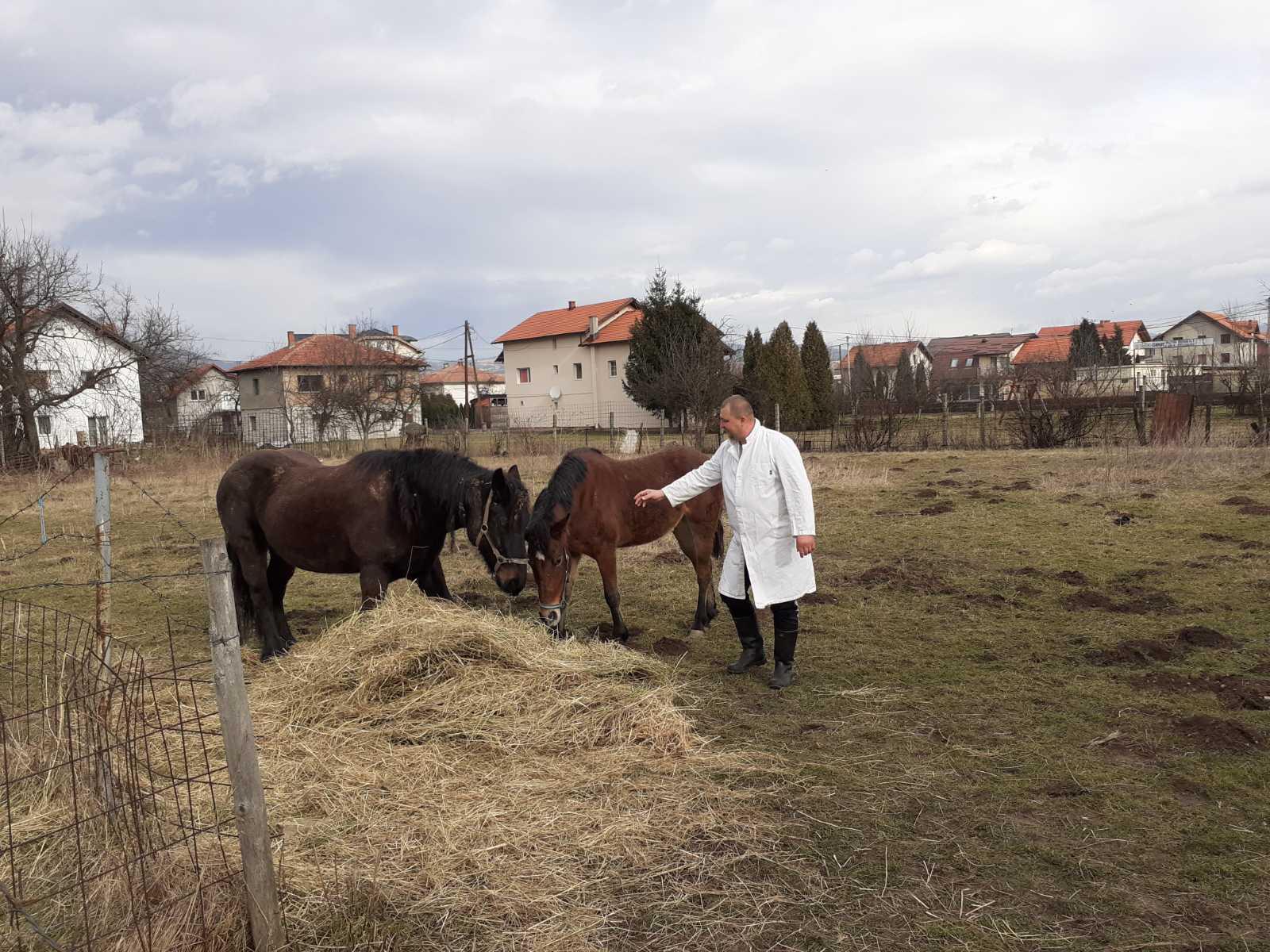 Inspekcija oduzela konje - Avaz