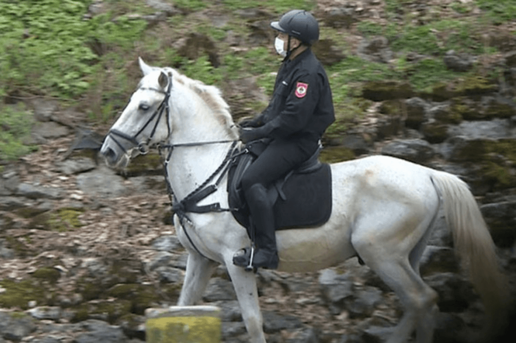 Većina se pridržava mjera, ali ima i onih koji šetaju kao u najbolja vremena - Avaz