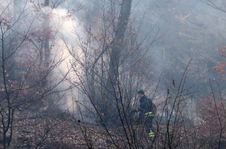 Vatra prije dva dana buknula na nekoliko lokacija - Avaz