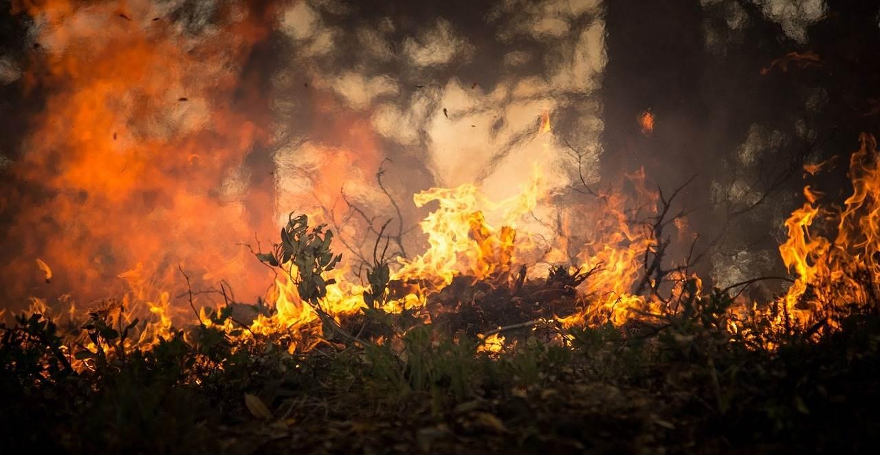 Vatrogasci se pet dana bore sa požarom kod Černobila, situacija s radijacijom postaje ozbiljna