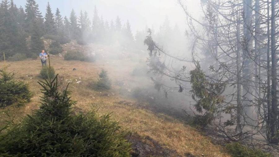 Požar sa šume proširio se i na poljoprivredna zemljišta