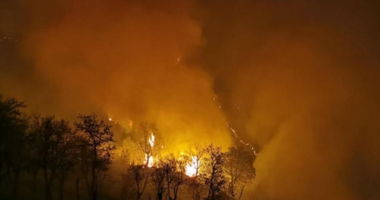 Požar stavljen pod kontrolu - Avaz