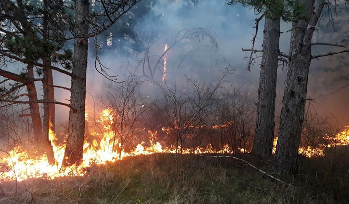 Samo štose jedan požar lokalizira, drugi se pojavi - Avaz