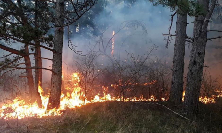 Najteže je bilo na području Nevesinja i Ljubinja - Avaz