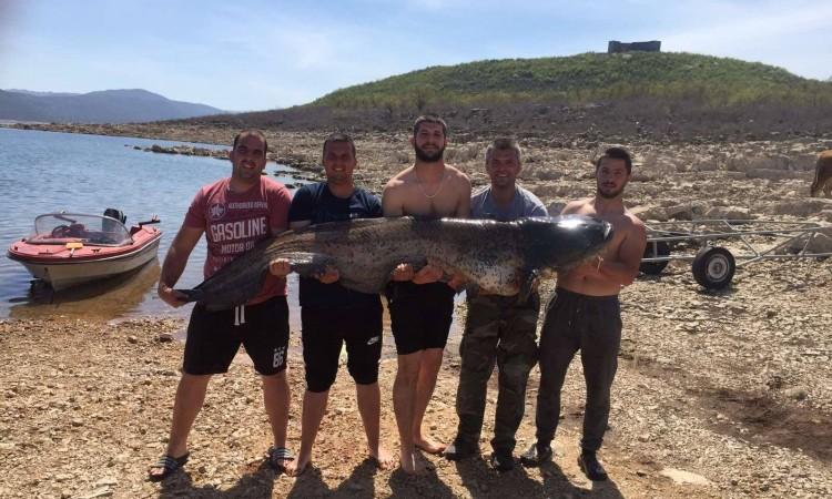 Ulovio soma od 85 kilograma