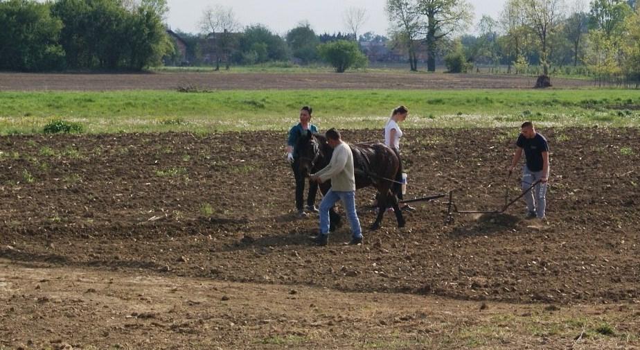 Slobodan Ilić i porodica na imanju u Brestovčini - Avaz